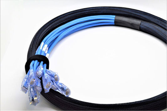 Falcon Technologies B12C6-UPL-RJRJ Copper Trunk Bundle: CAT6, 12 Cable Pre-Terminated RJ45 Bundle, Plenum