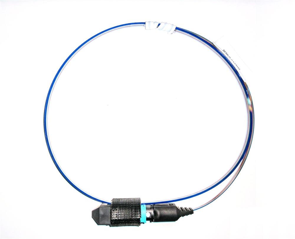 FFMPORBN/N Fiber Optic Pigtail: Panduit QuickNet, 12 Strand MPO, Multi-Mode OM3, 1 Meter
