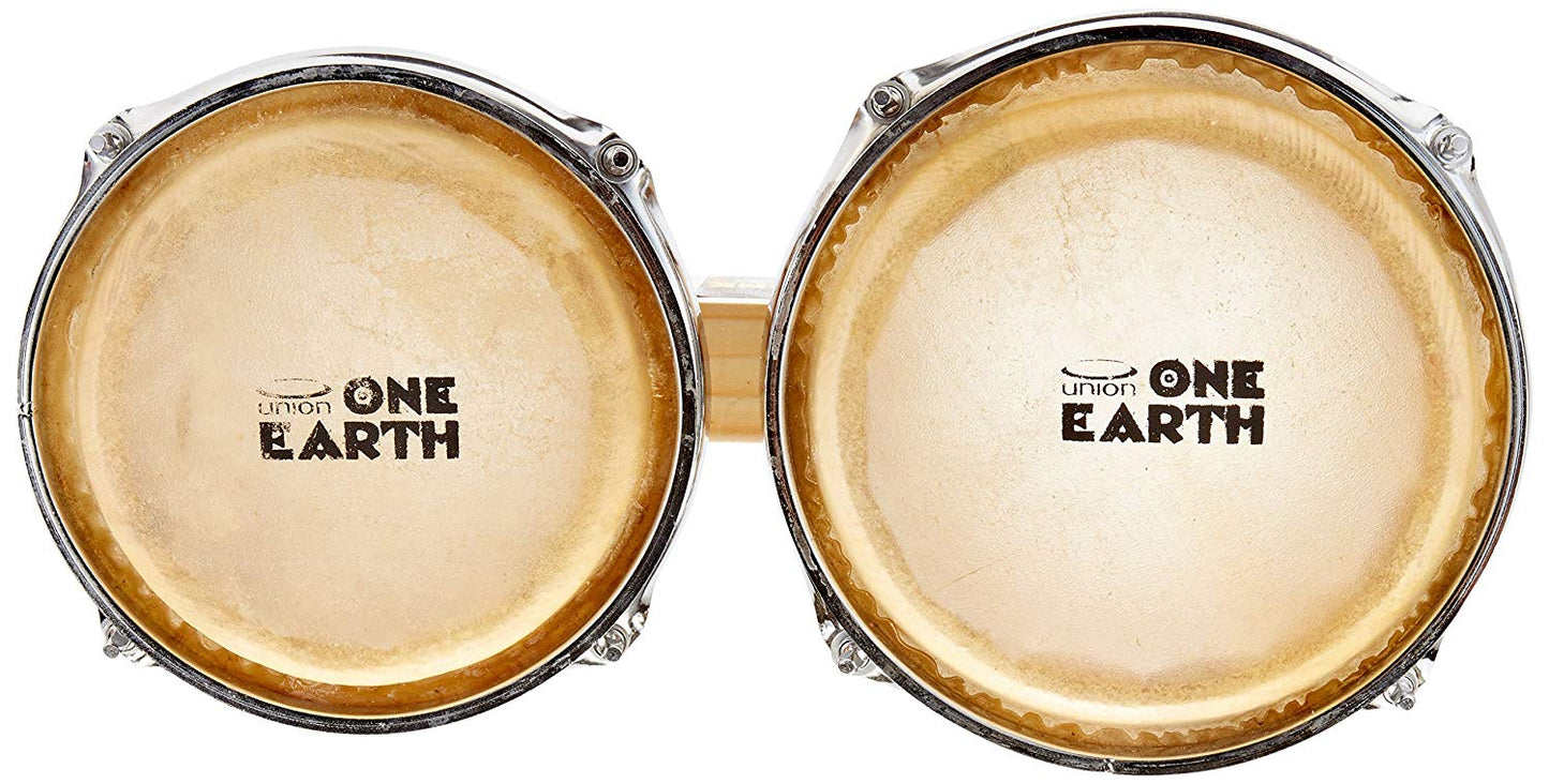 Bongo Drums